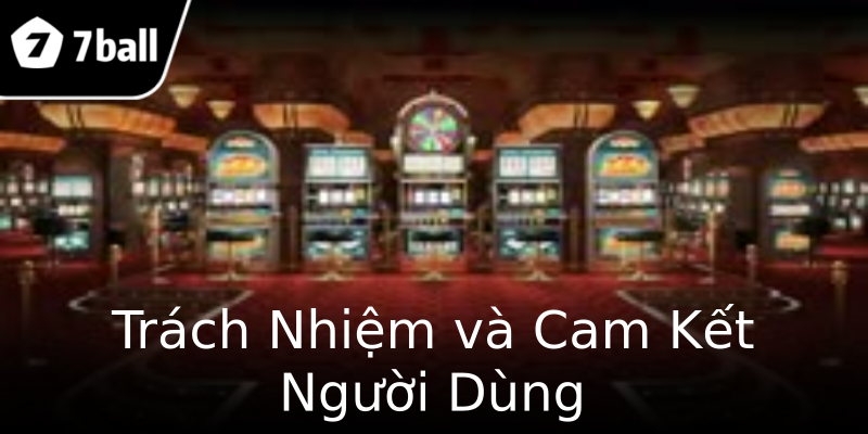 Trách Nhiệm và Cam Kết Người Dùng Trách Nhiệm và Cam Kết Người Dùng